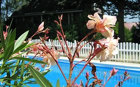 Guest House Westwood
